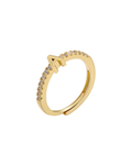 Anillo inicial zirconias