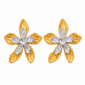 Aretes bicolor de Flor